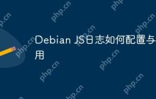 Debian JS日志如何配置与使用