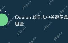 Debian JS日志中关键信息有哪些