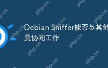 Debian Sniffer能否与其他工具协同工作