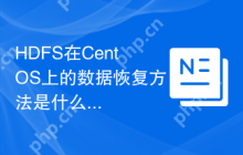HDFS在CentOS上的数据恢复方法是什么