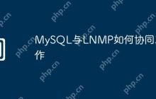 MySQL与LNMP如何协同工作