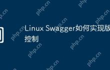 Linux Swagger如何实现版本控制