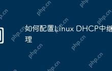 如何配置Linux DHCP中继代理