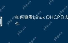如何查看Linux DHCP日志文件