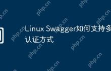 Linux Swagger如何支持多种认证方式
