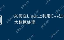 如何在Linux上利用C++进行大数据处理