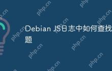 Debian JS日志中如何查找问题