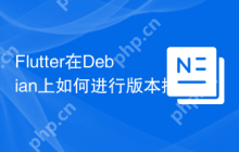 Flutter在Debian上如何进行版本控制