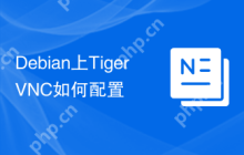 Debian上TigerVNC如何配置