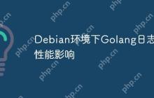 Debian环境下Golang日志的性能影响