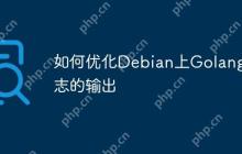 如何优化Debian上Golang日志的输出