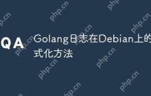 Golang日志在Debian上的格式化方法