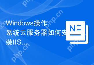 Windows操作系统云服务器如何安装IIS