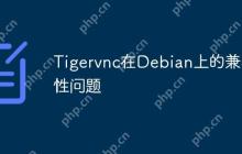 Tigervnc在Debian上的兼容性问题