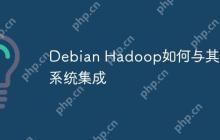 Debian Hadoop如何与其他系统集成