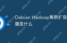 Debian Hadoop集群扩容步骤是什么
