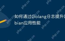 如何通过Golang日志提升Debian应用性能