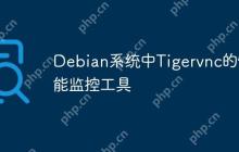 Debian系统中Tigervnc的性能监控工具