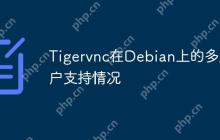 Tigervnc在Debian上的多用户支持情况