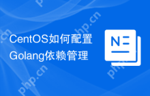 CentOS如何配置Golang依赖管理