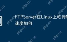 FTPServer在Linux上的传输速度如何