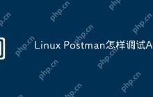 Linux Postman怎样调试API
