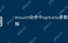 mount命令中options参数详解