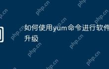 如何使用yum命令进行软件包升级