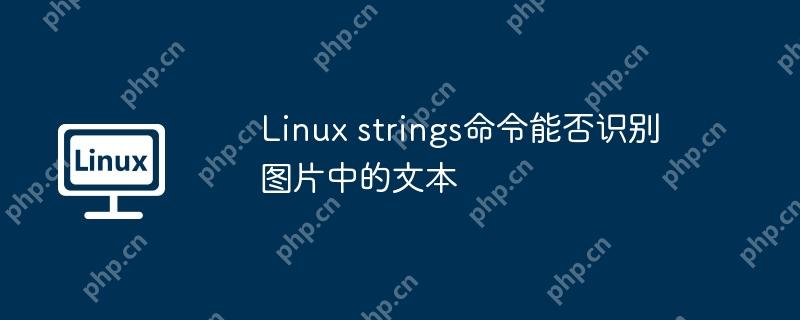 linux strings命令能否识别图片中的文本