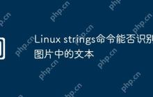 Linux strings命令能否识别图片中的文本