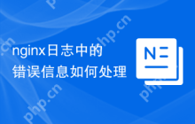 nginx日志中的错误信息如何处理