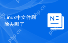 Linux中文件删除去哪了