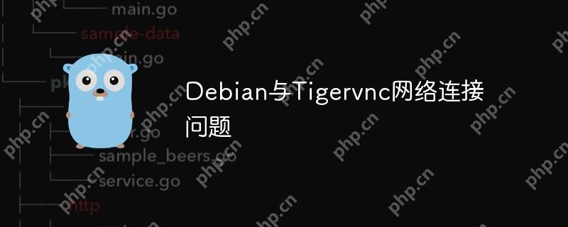 Debian与Tigervnc网络连接问题