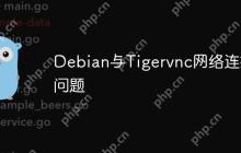 Debian与Tigervnc网络连接问题