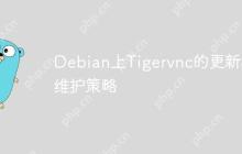 Debian上Tigervnc的更新和维护策略