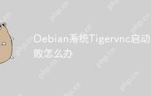 Debian系统Tigervnc启动失败怎么办