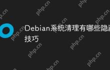 Debian系统清理有哪些隐藏技巧