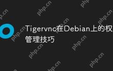 Tigervnc在Debian上的权限管理技巧