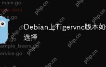 Debian上Tigervnc版本如何选择
