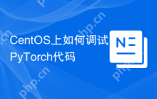 CentOS上如何调试PyTorch代码