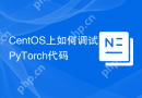 CentOS上如何调试PyTorch代码