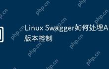 Linux Swagger如何处理API版本控制