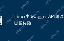 Linux中Swagger API测试有哪些优势