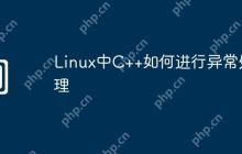Linux中C++如何进行异常处理