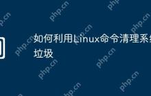如何利用Linux命令清理系统垃圾