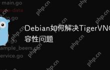 Debian如何解决TigerVNC兼容性问题