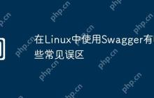 在Linux中使用Swagger有哪些常见误区
