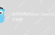 如何利用Debian OpenSSL进行加密