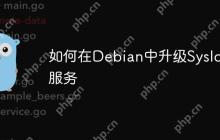 如何在Debian中升级Syslog服务
