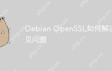 Debian OpenSSL如何解决常见问题